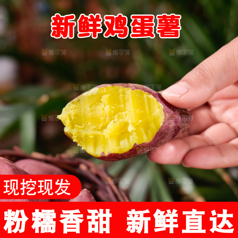 鸡蛋薯