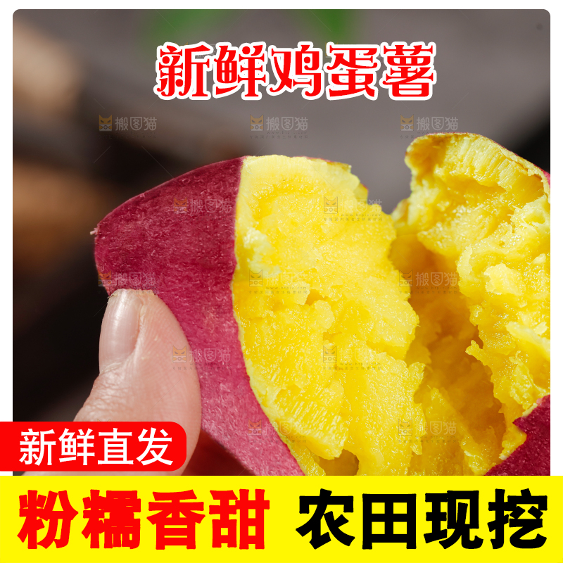 鸡蛋薯
