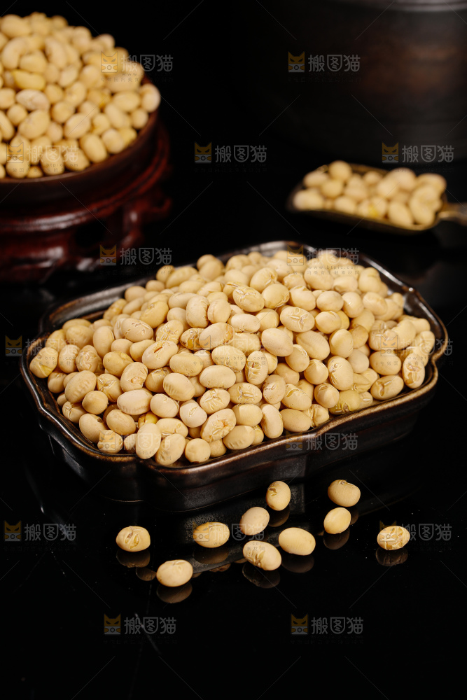 黄豆