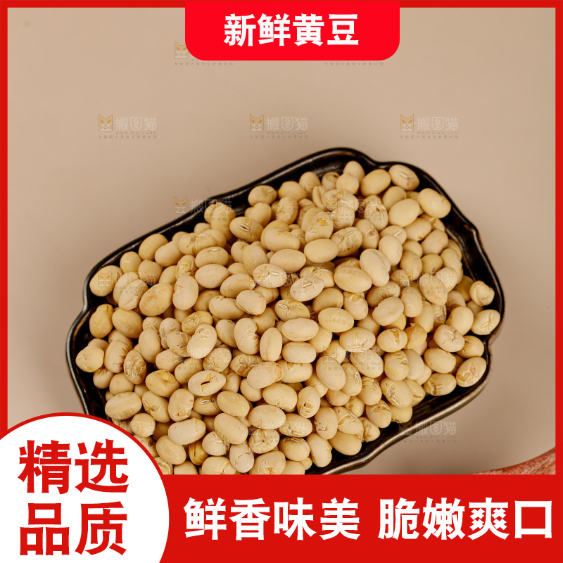 黄豆