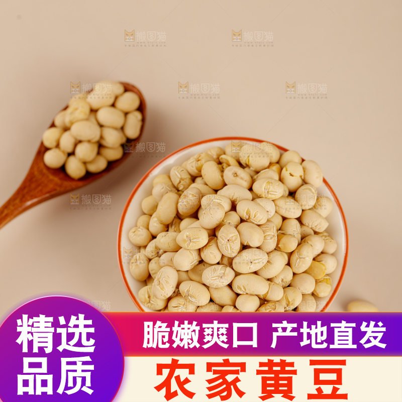 黄豆