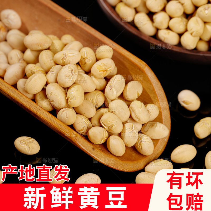 黄豆