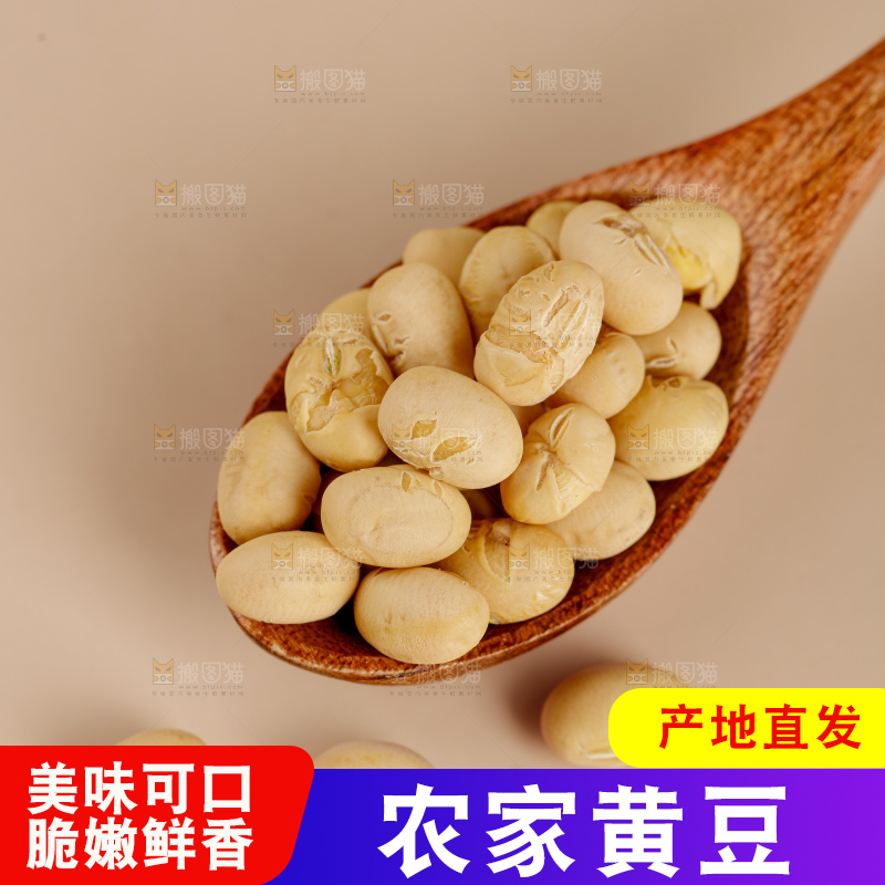 黄豆