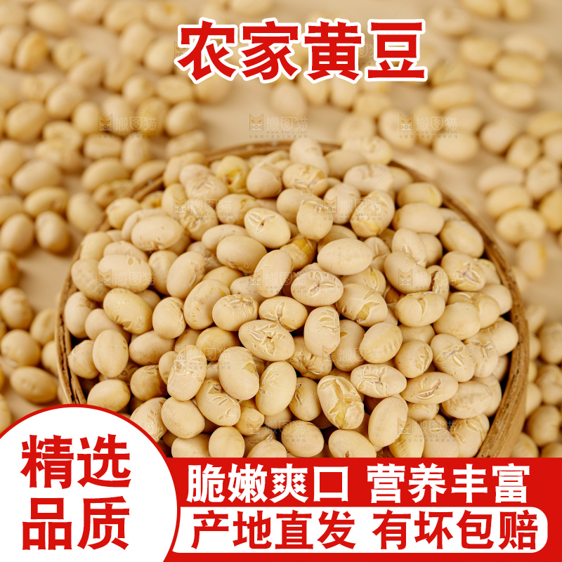 黄豆