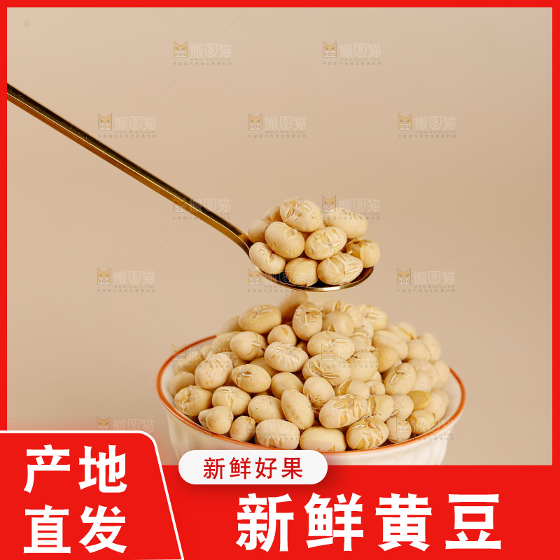 黄豆