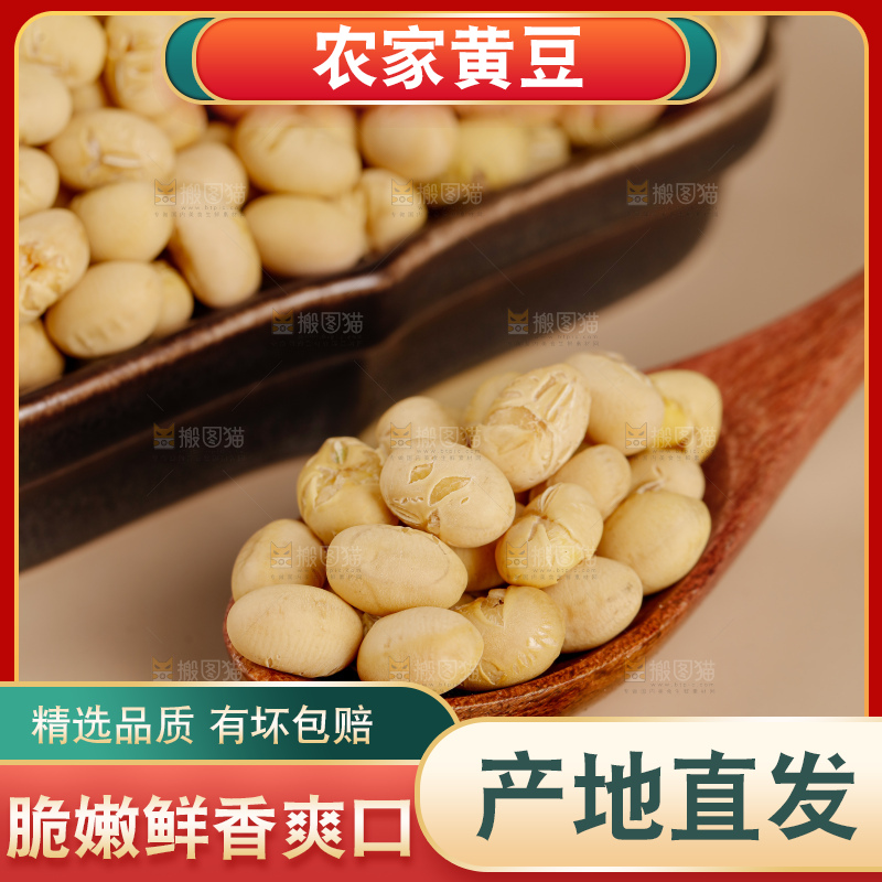 黄豆