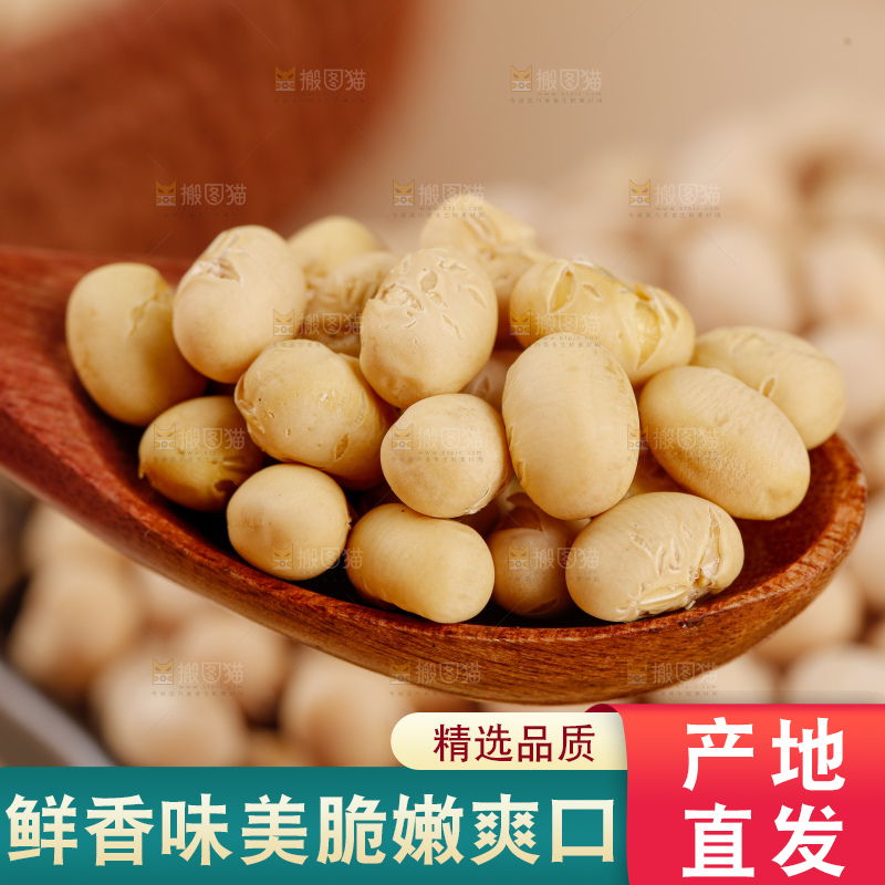 黄豆