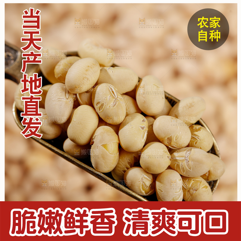 黄豆