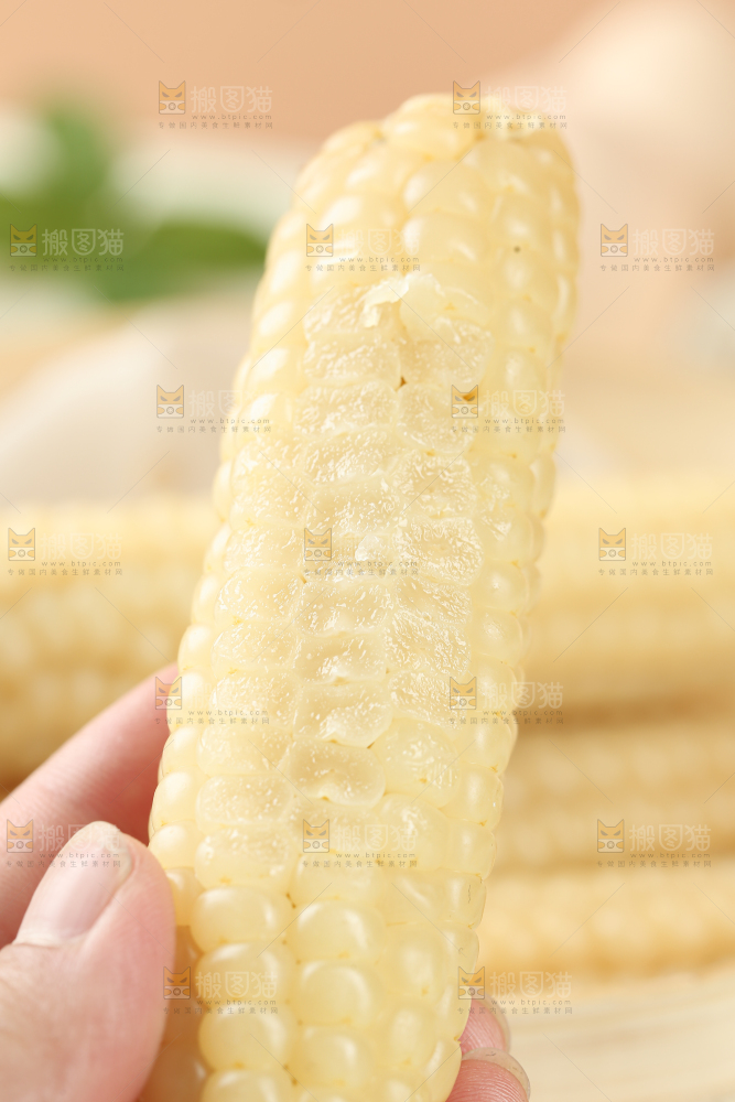 拇指玉米