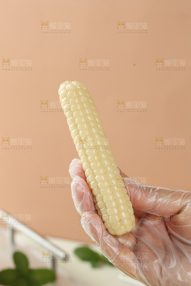 拇指玉米