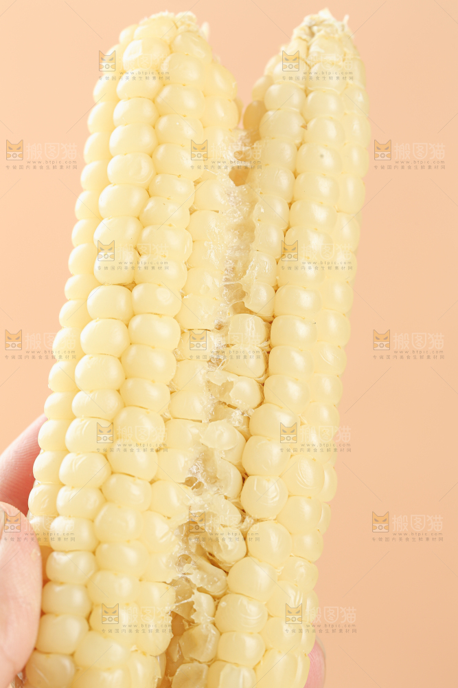 拇指玉米