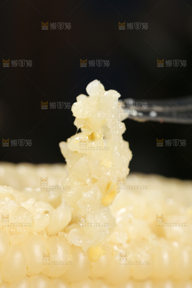拇指玉米