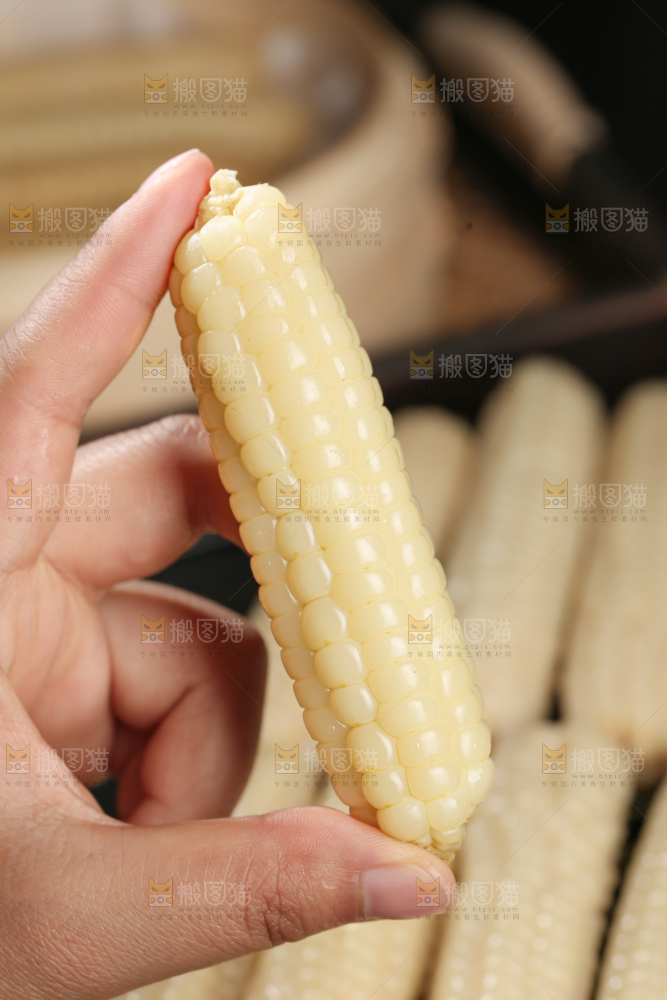 拇指玉米