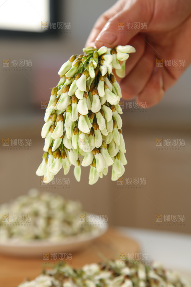 槐花
