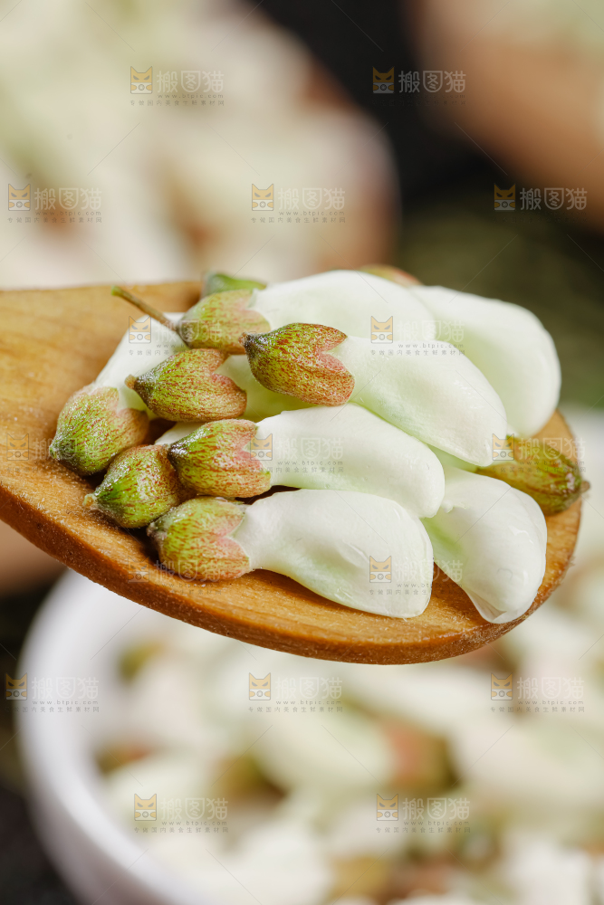 槐花