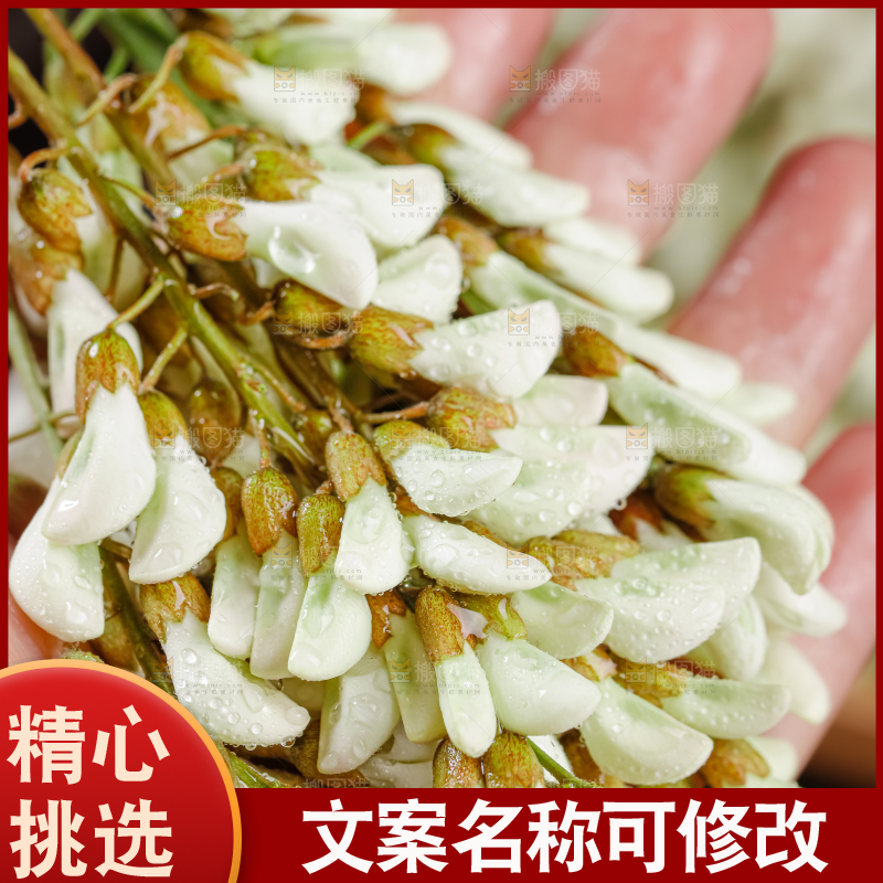 槐花