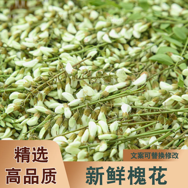 槐花