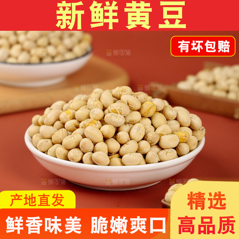 黄豆