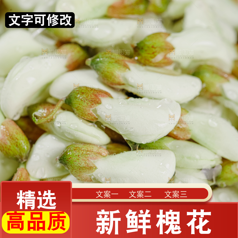 槐花