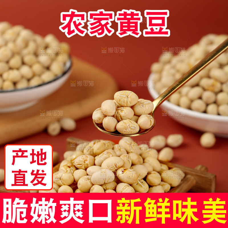 黄豆