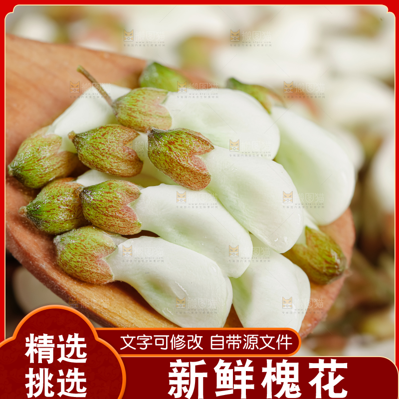 槐花