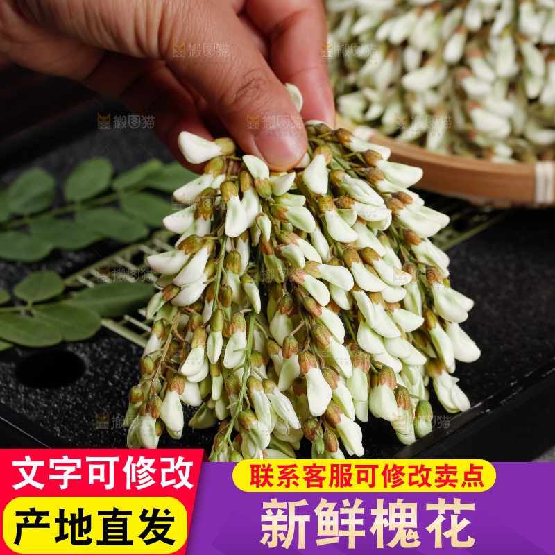 槐花