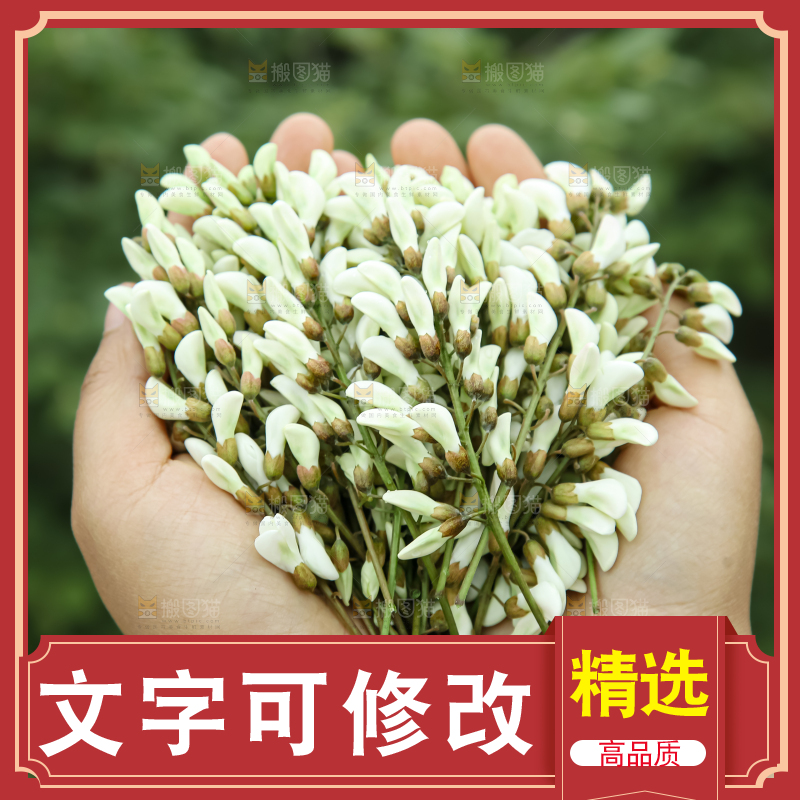 槐花