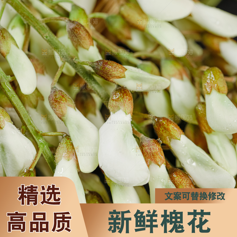 槐花