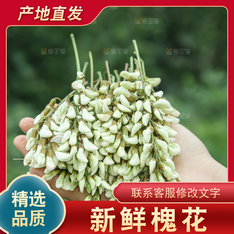 槐花