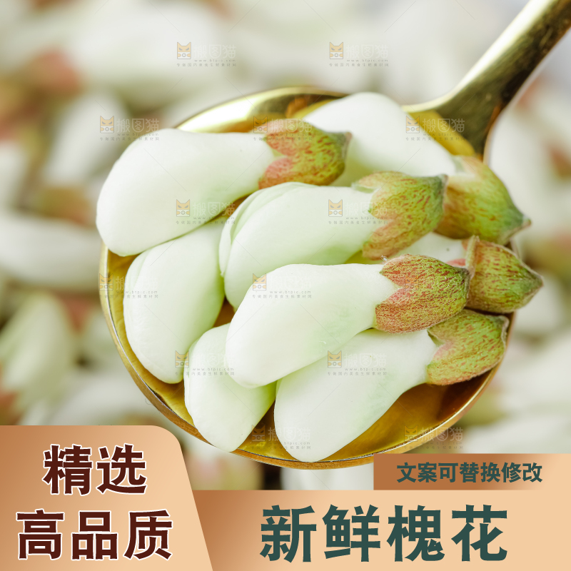槐花