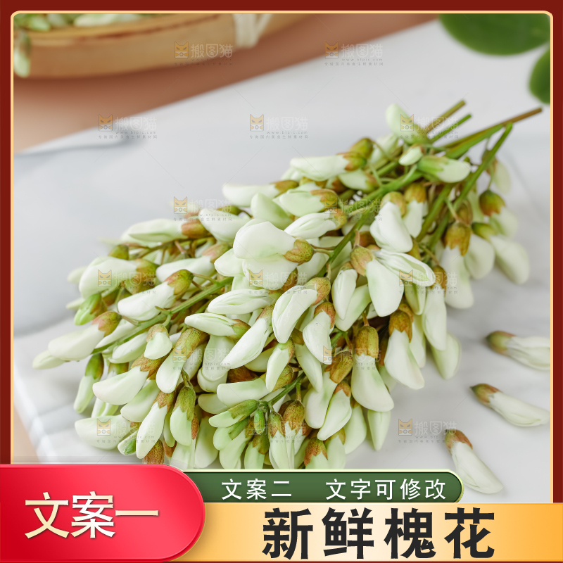 槐花