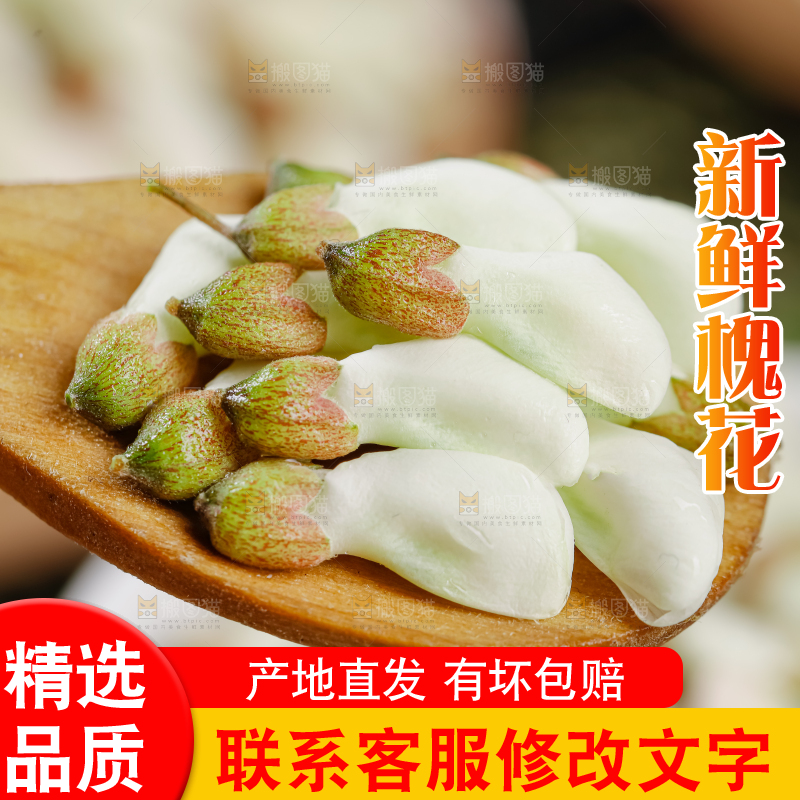 槐花