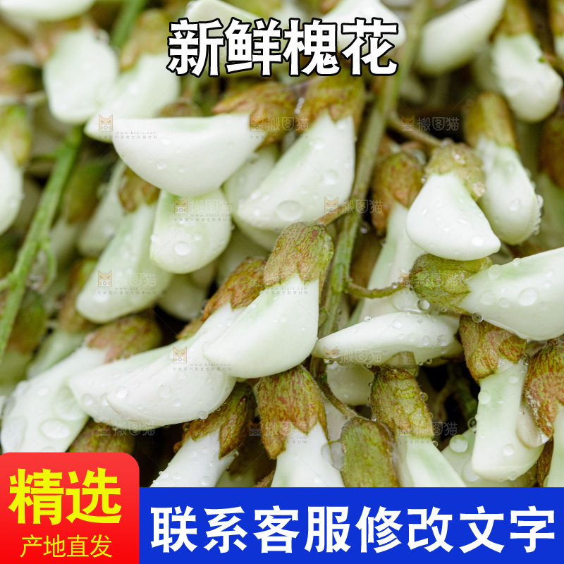 槐花