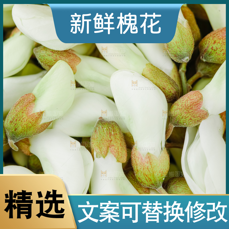 槐花