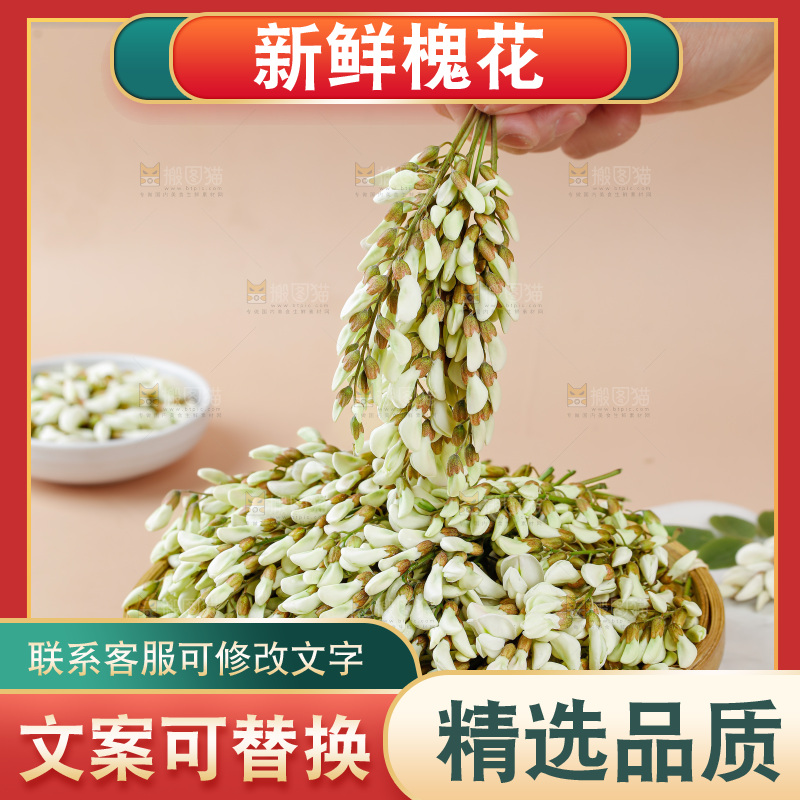槐花