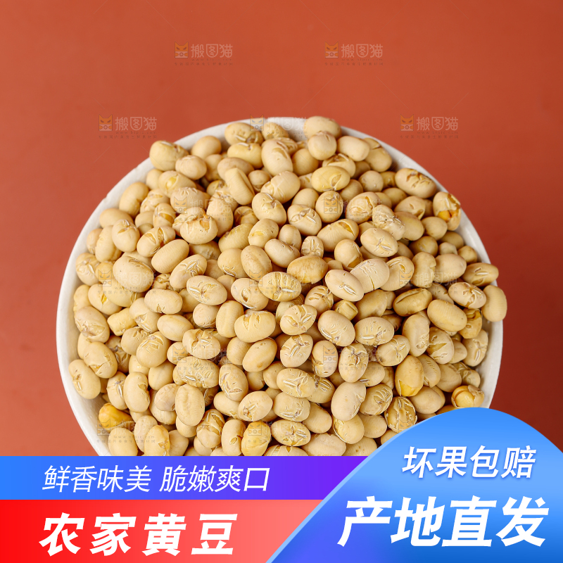 黄豆