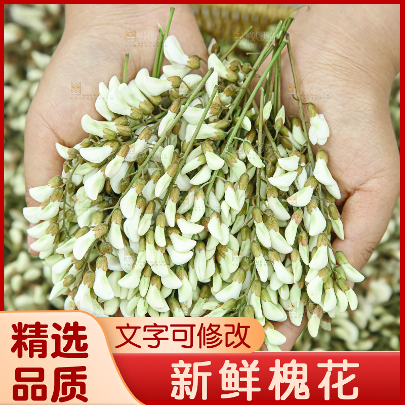 槐花