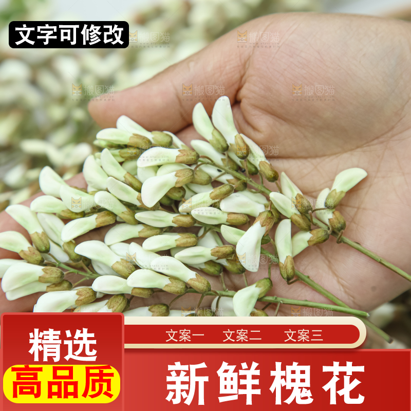 槐花