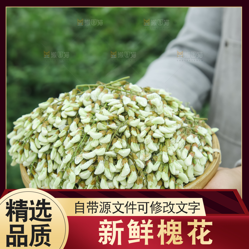 槐花