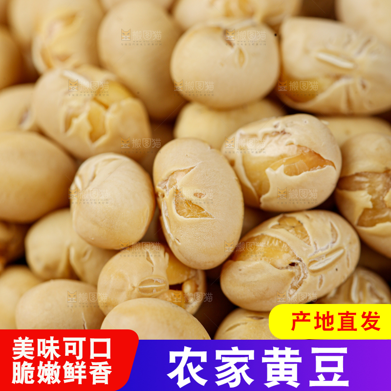 黄豆