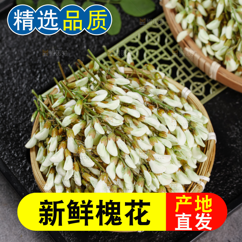 槐花