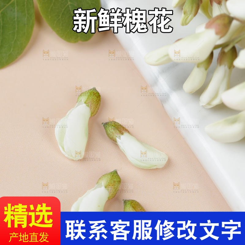槐花