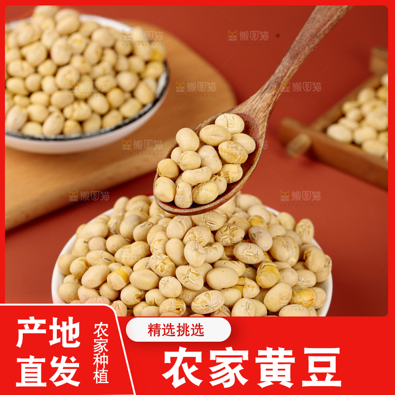 黄豆