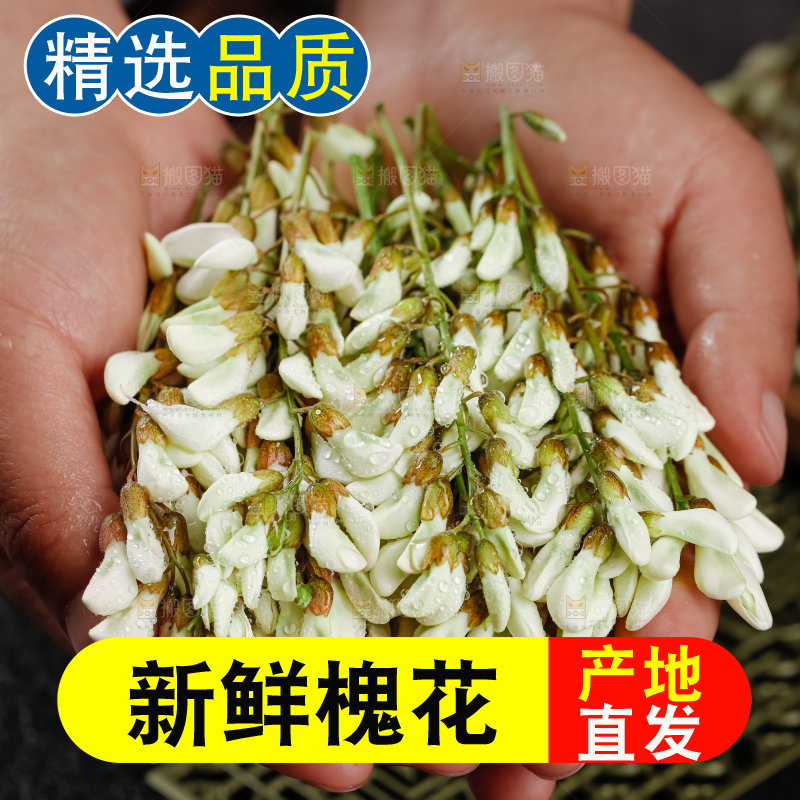 槐花