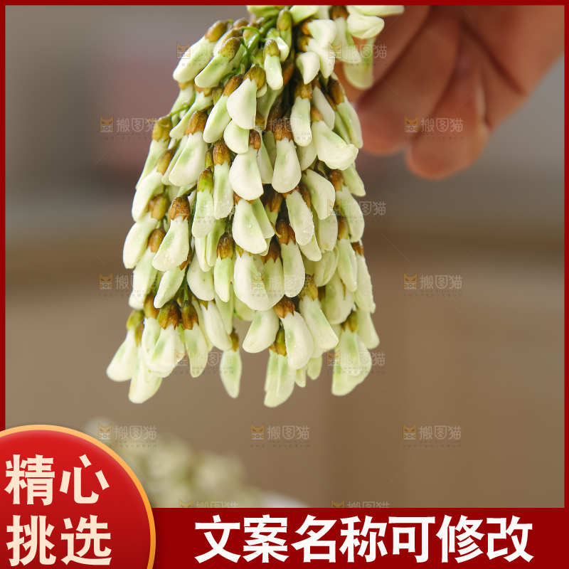 槐花