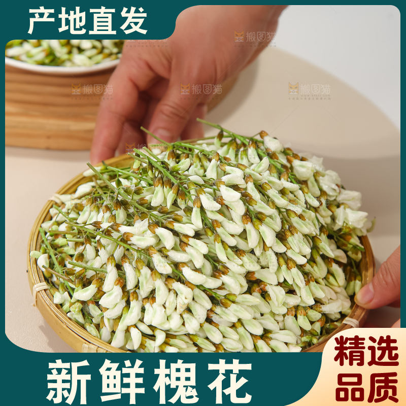 槐花