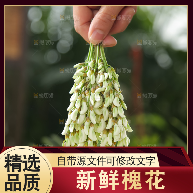 槐花