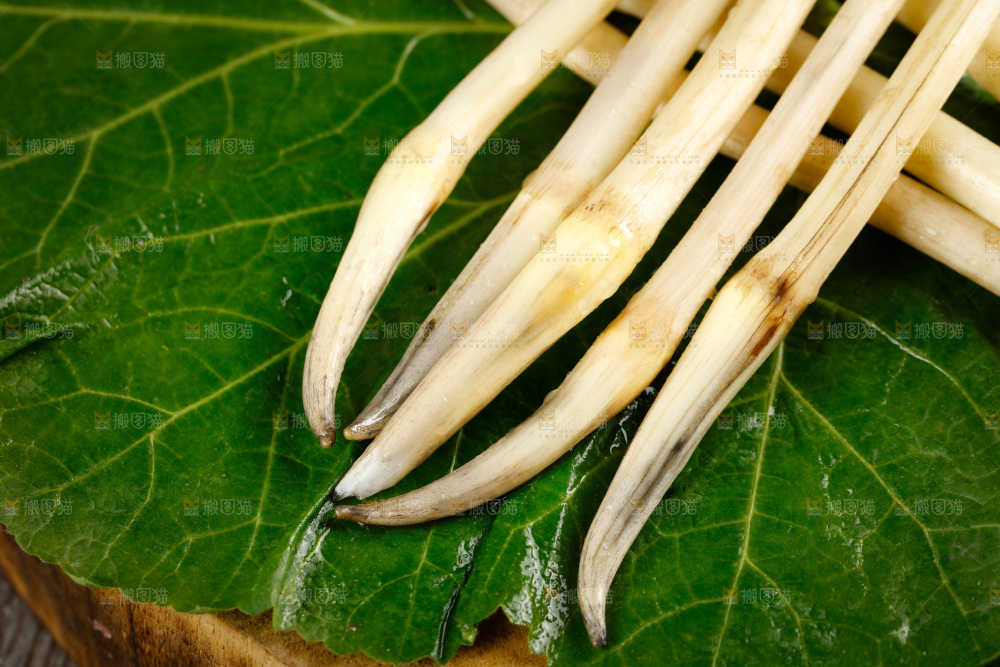 藕带