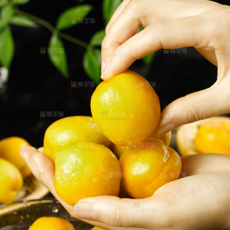 李广杏