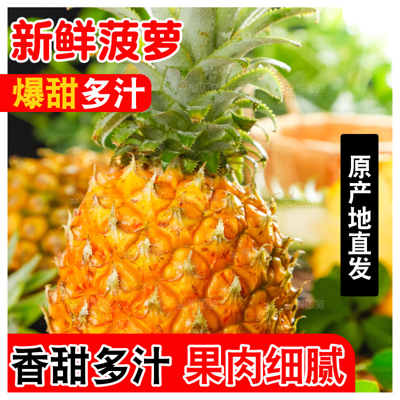 菠萝